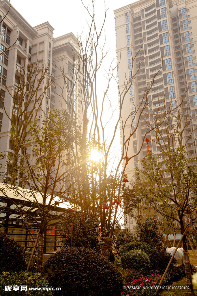 阳光照耀下的城市住宅区
