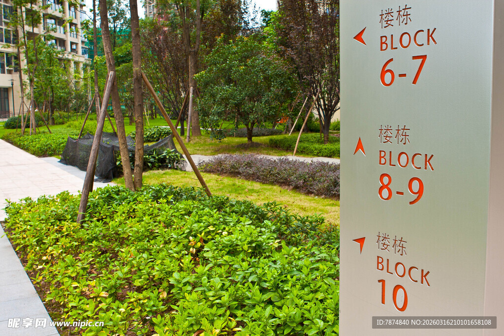 户外身高测量场景