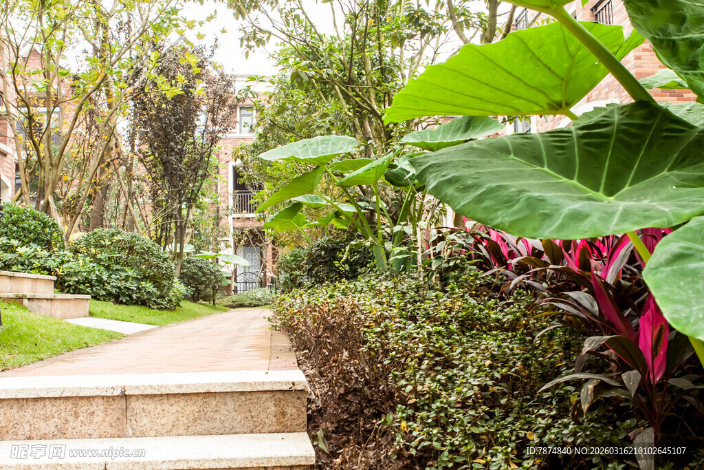 花园小径 绿植环绕景致美