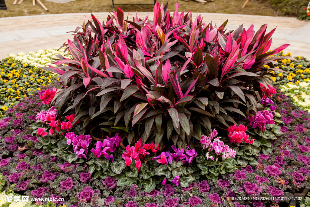 多彩花卉组合景观