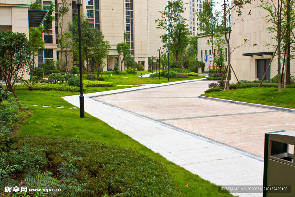 小区内整洁的绿化道路