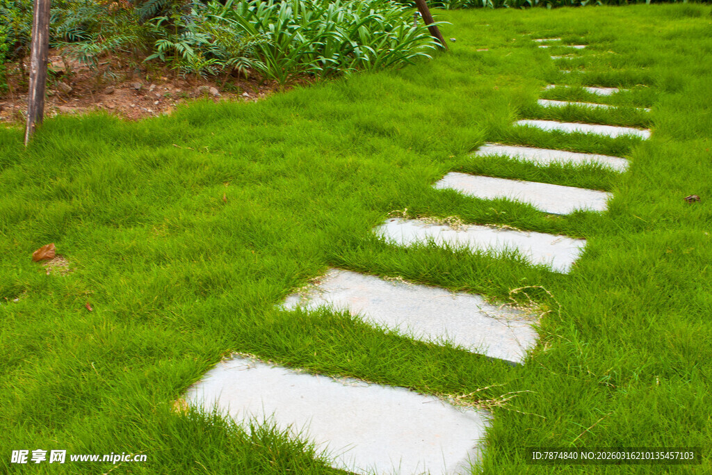草地中的石板小径
