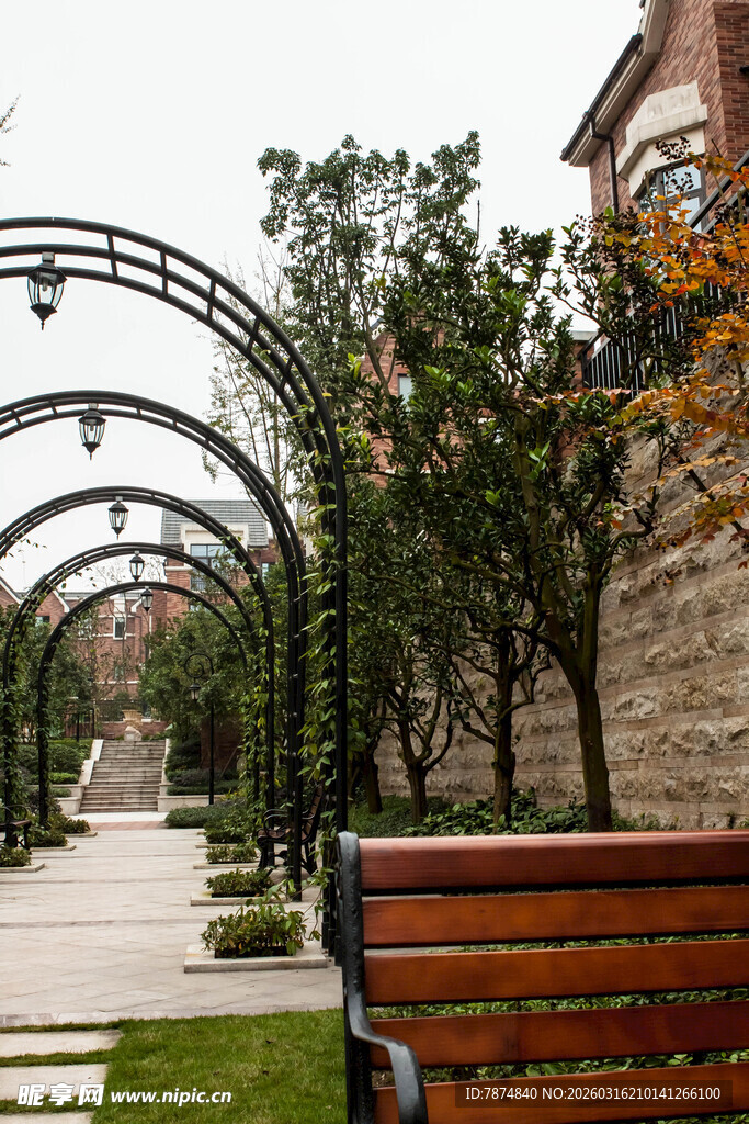 拱形绿植长廊下的长椅