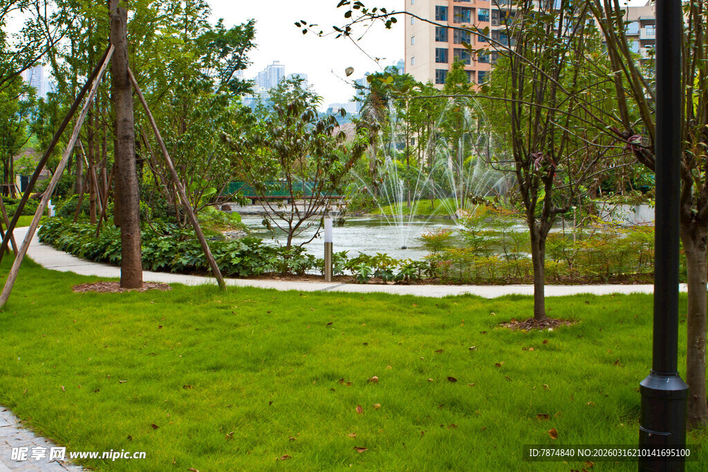 城市中的清新绿意公园