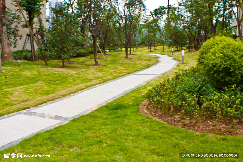 蜿蜒小径旁的翠绿园林