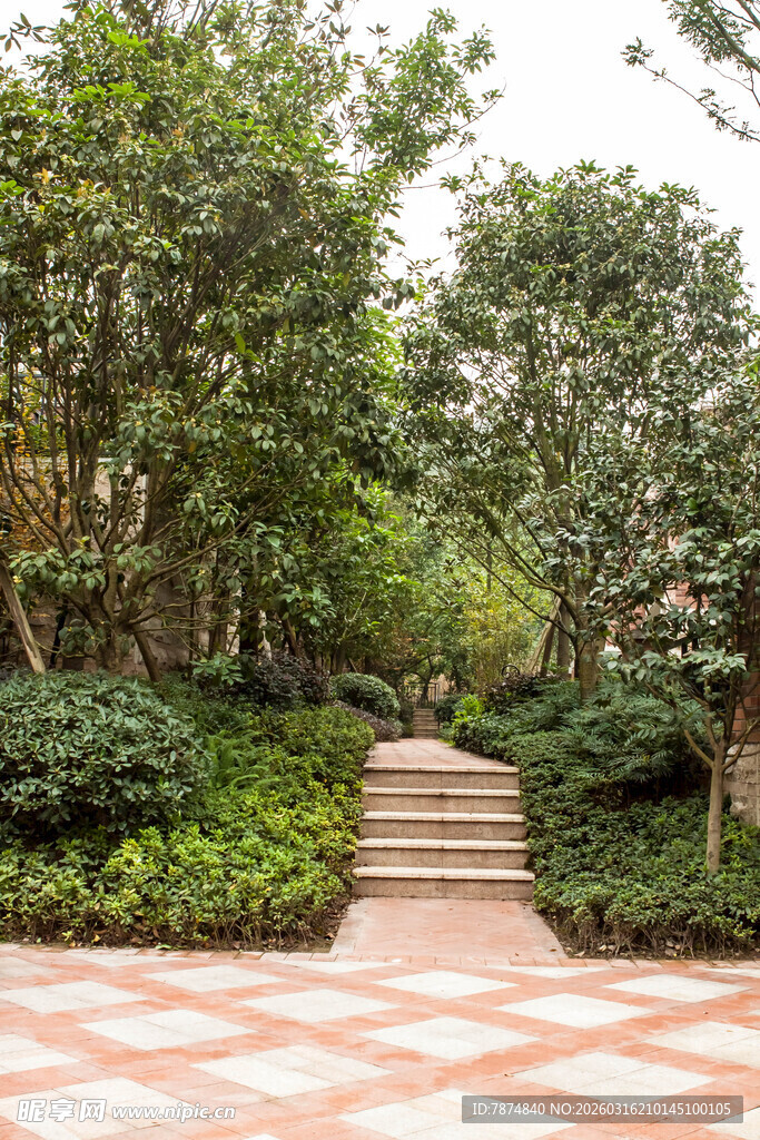 花园中的砖石小径与绿植