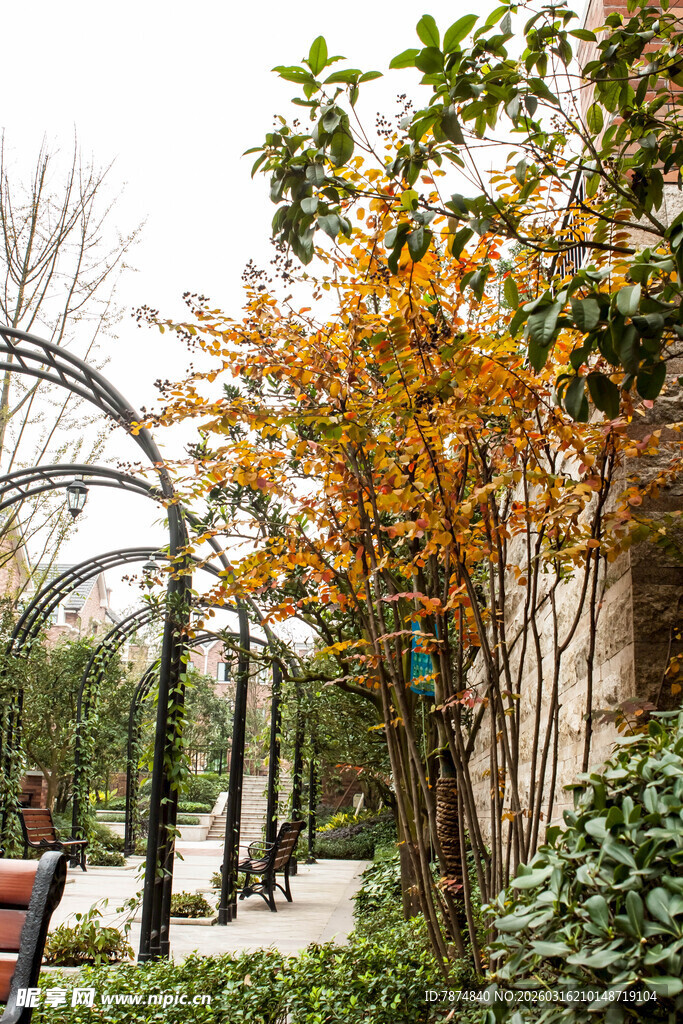 秋日公园拱形廊架景致