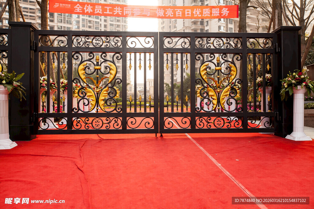 豪华铁艺大门 尽显尊贵