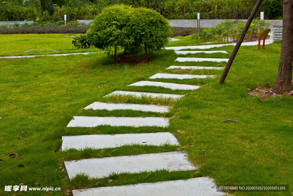 花园中的石板小径