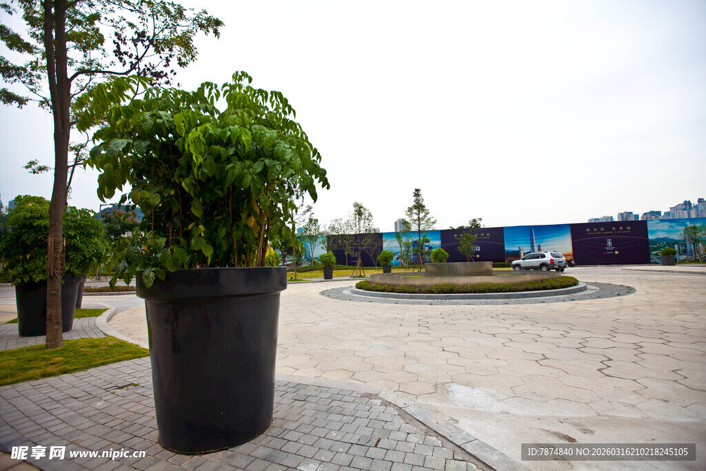 户外黑色花盆中的绿植