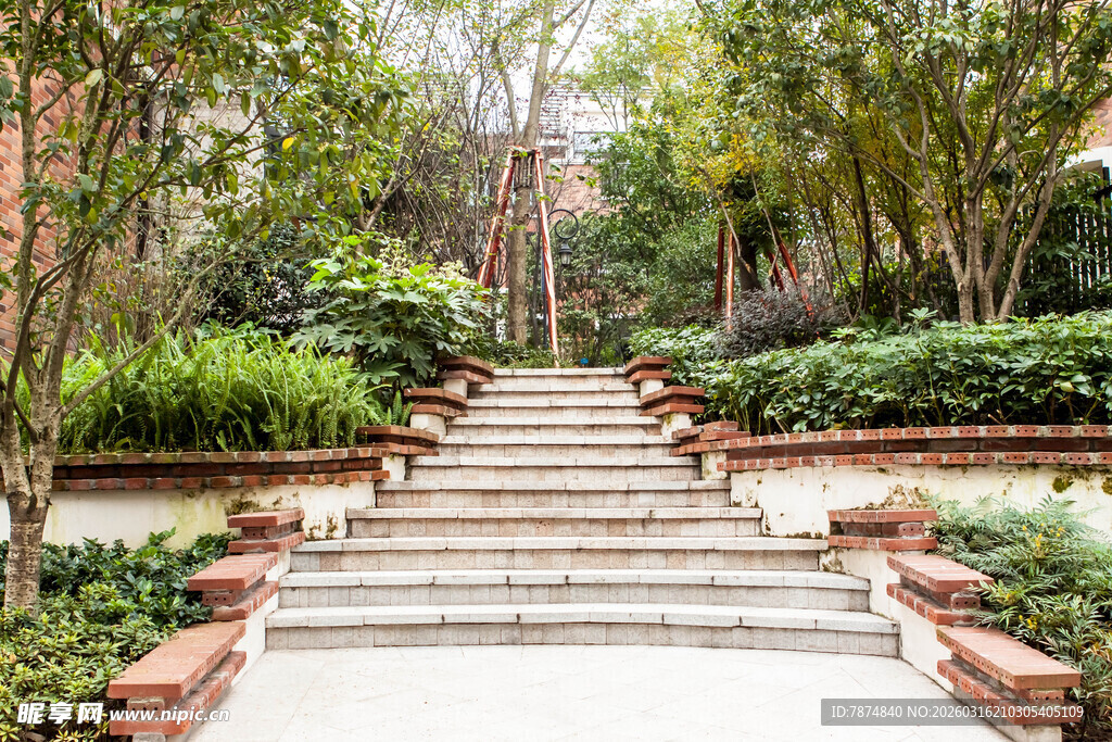 花园中的石阶景观