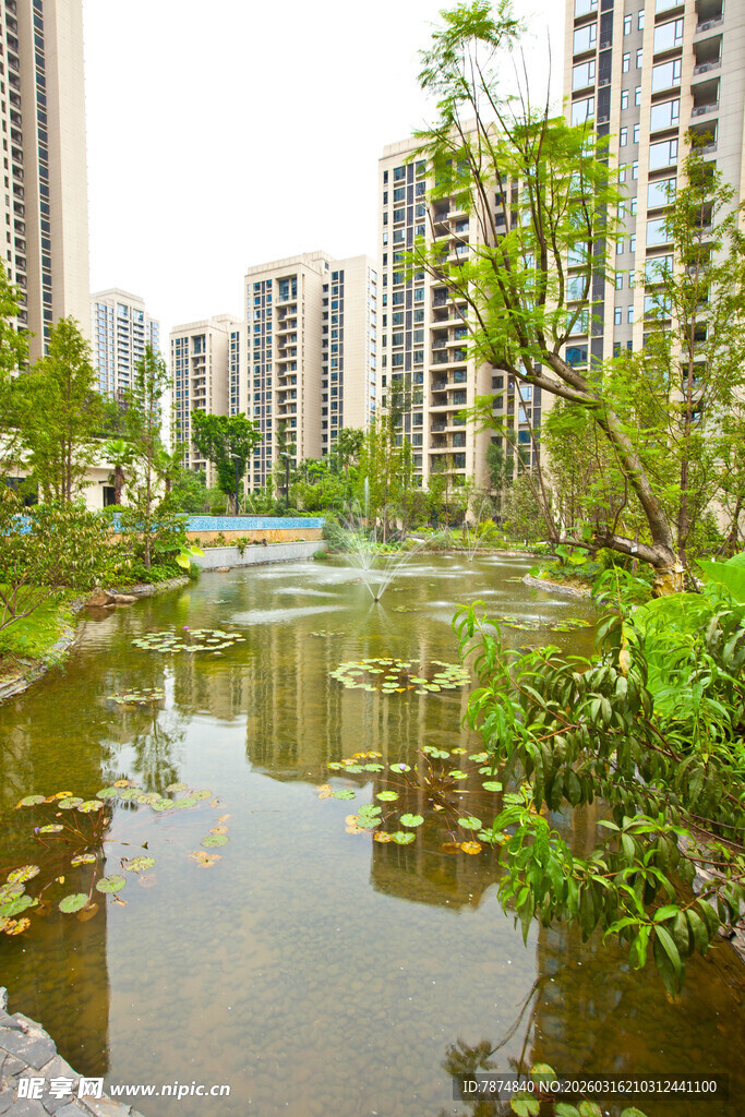 城市河畔的静谧绿色景观