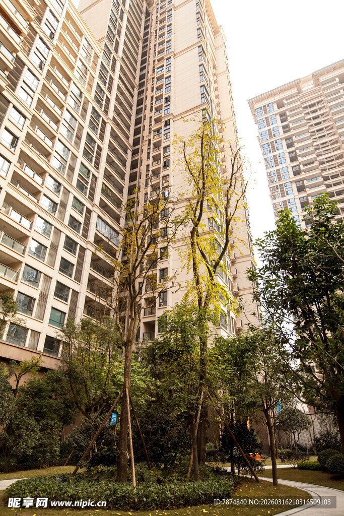 高层住宅旁的绿化景观