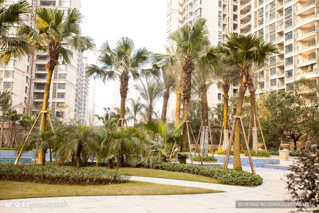 小区内的热带景观园林