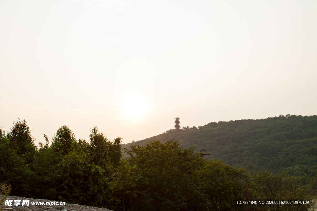 日落时分的山丘与树木