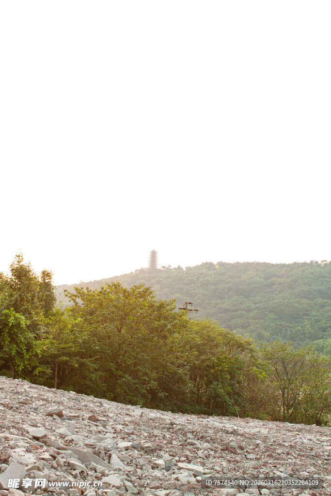 山坡上的植被与石砌景观