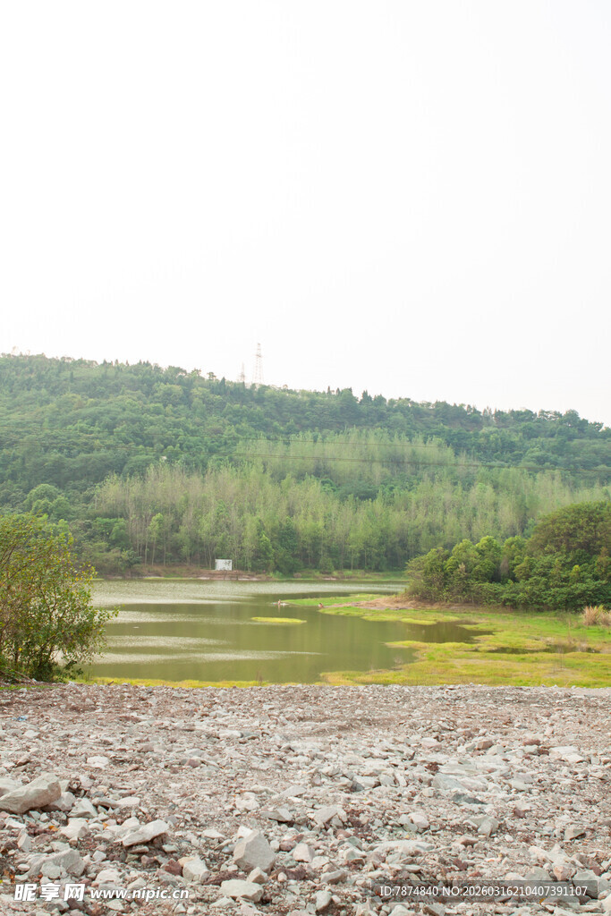 田野风光 远处绿意盎然