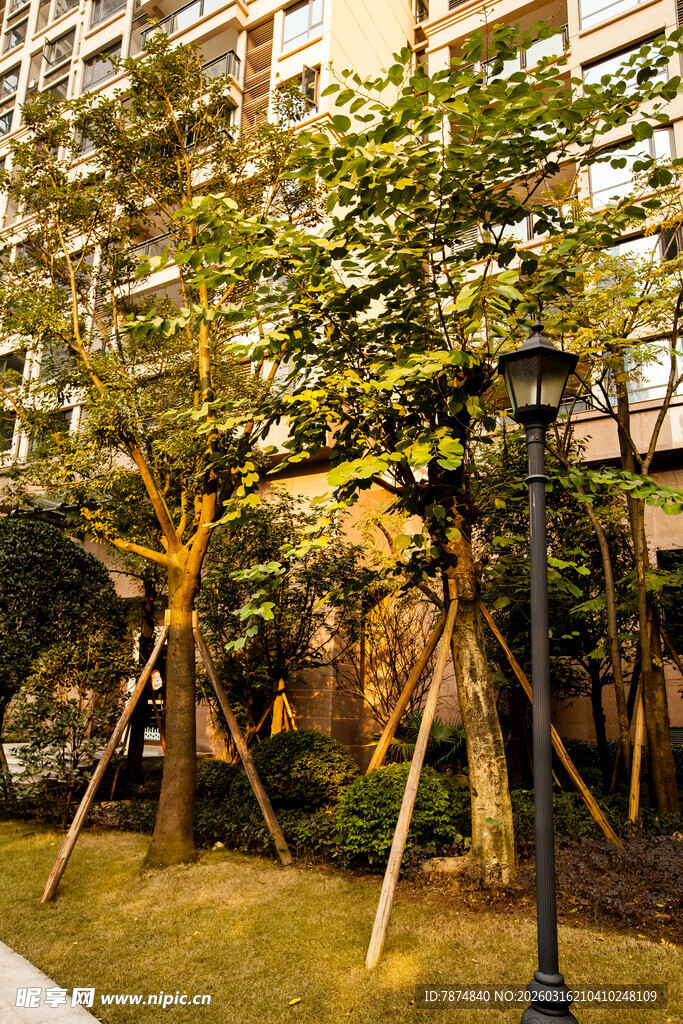 小区内绿植景观与路灯
