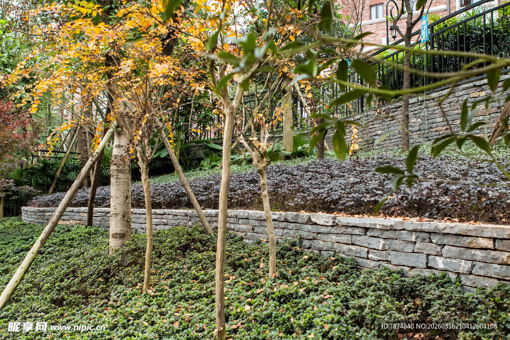 秋日林中木 景致清幽