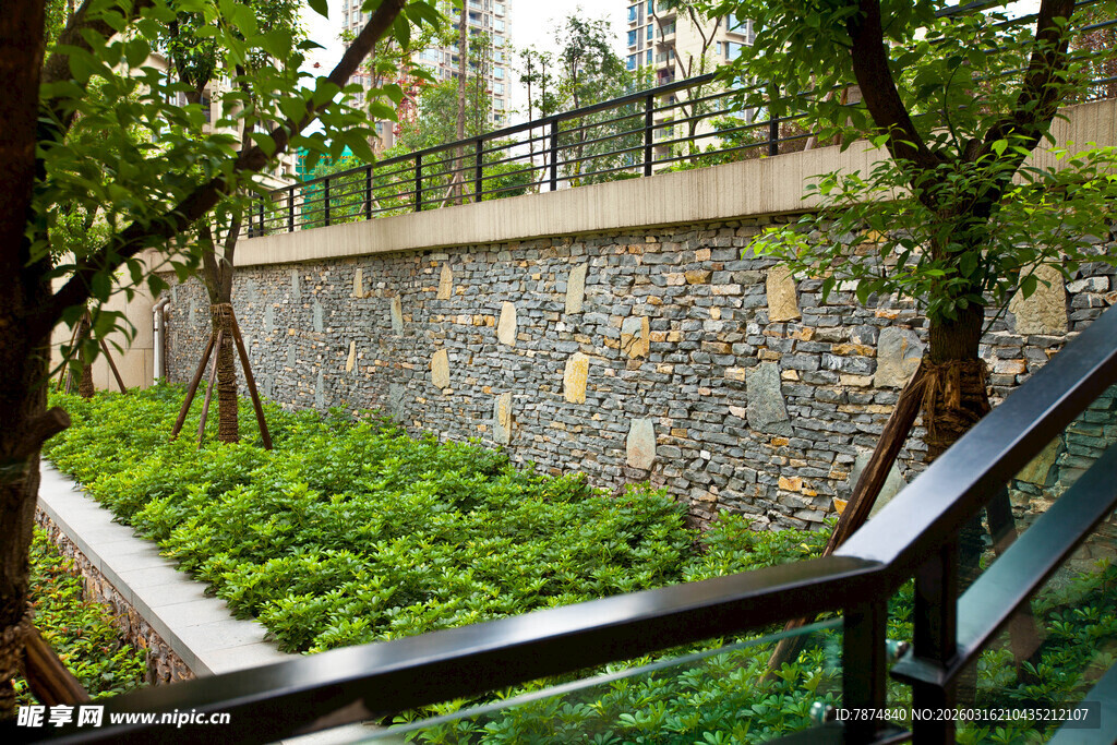 城市中的绿植景观角落