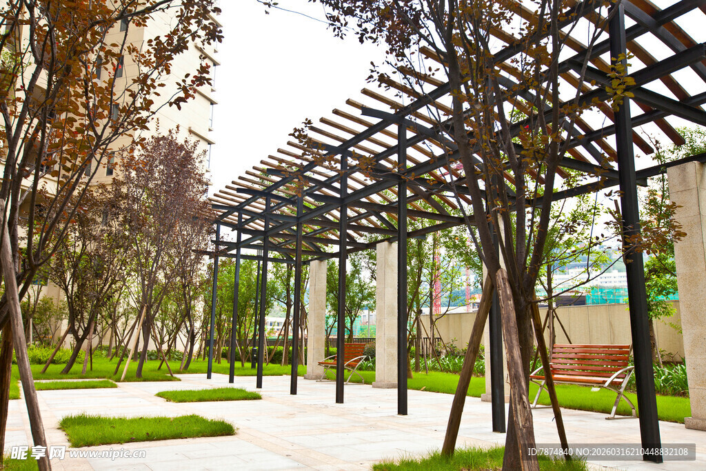 公园木质廊架下的宁静景致