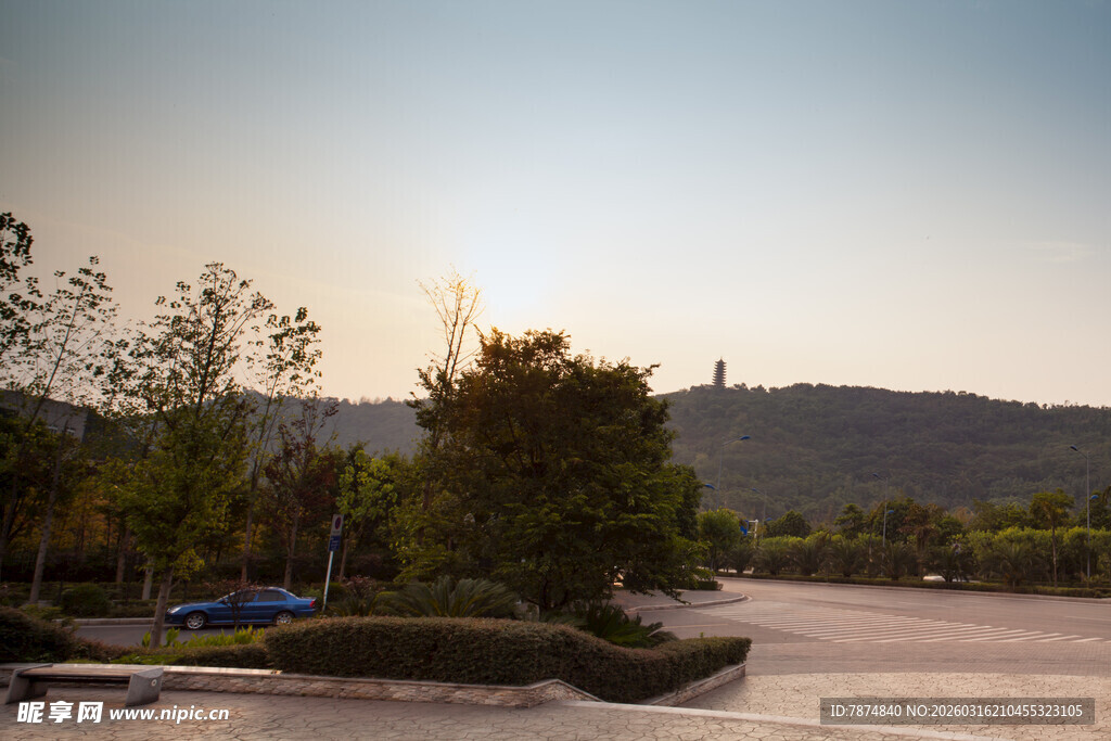 夕阳下的宁静道路景观