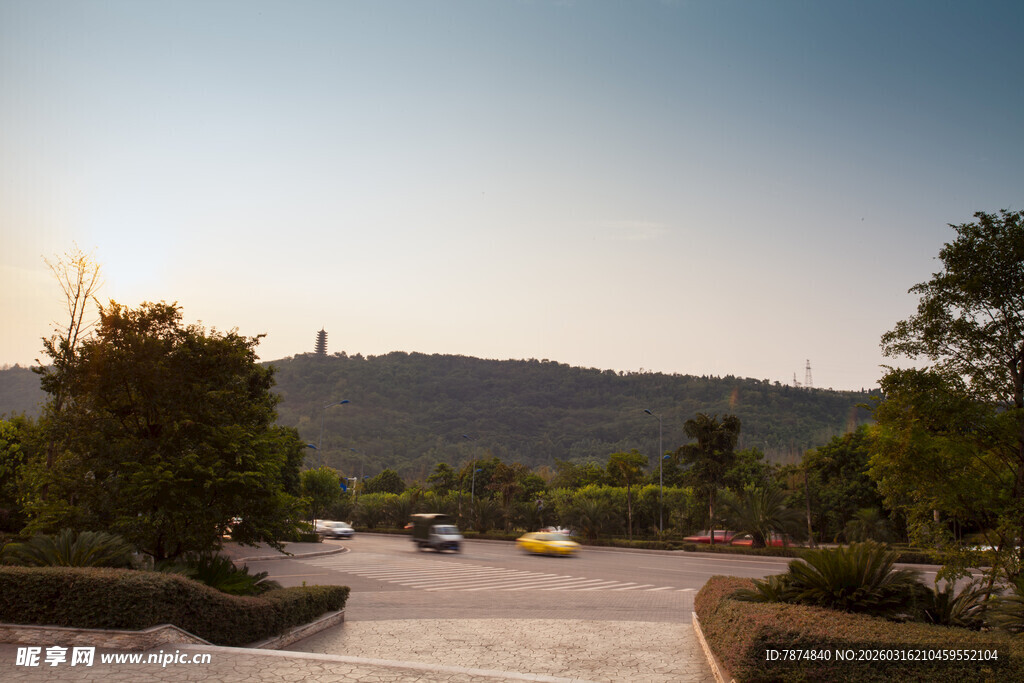 阳光洒落的开阔园区道路