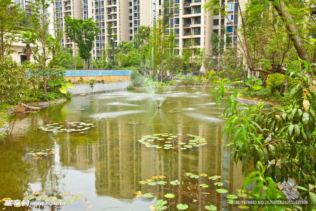 小区内的静谧水景花园