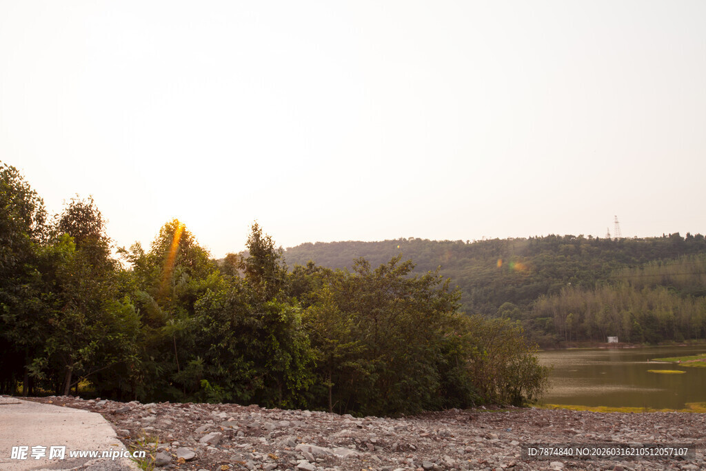 黄昏下的林间道路与旷野
