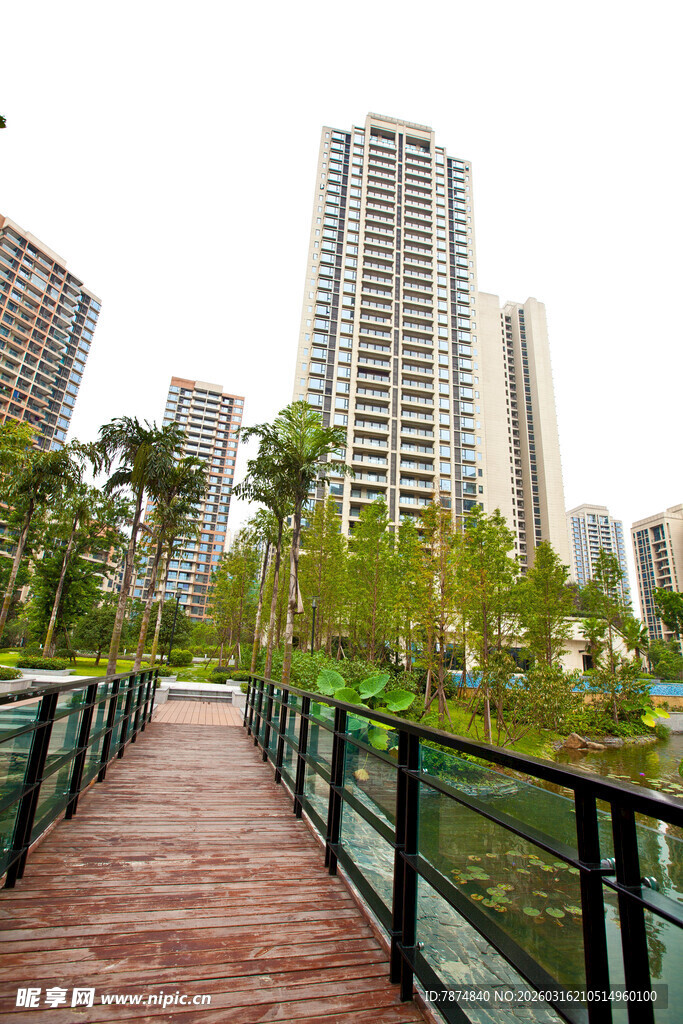 城市步道旁的高楼与绿植