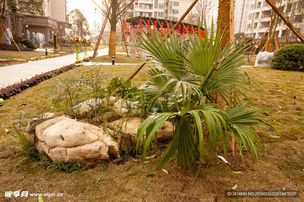 小区绿化带中的绿植与石块
