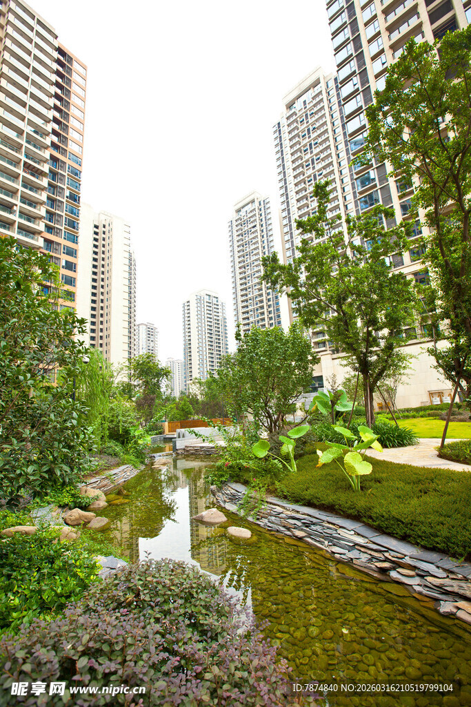 城市中的静谧河畔景观