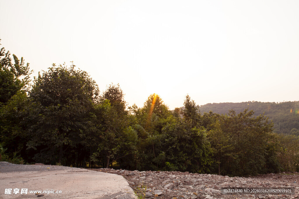 黄昏下的树林与开阔地