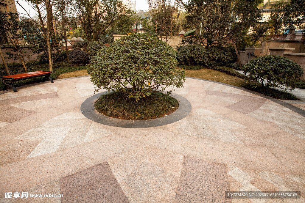 庭院圆形绿植景观