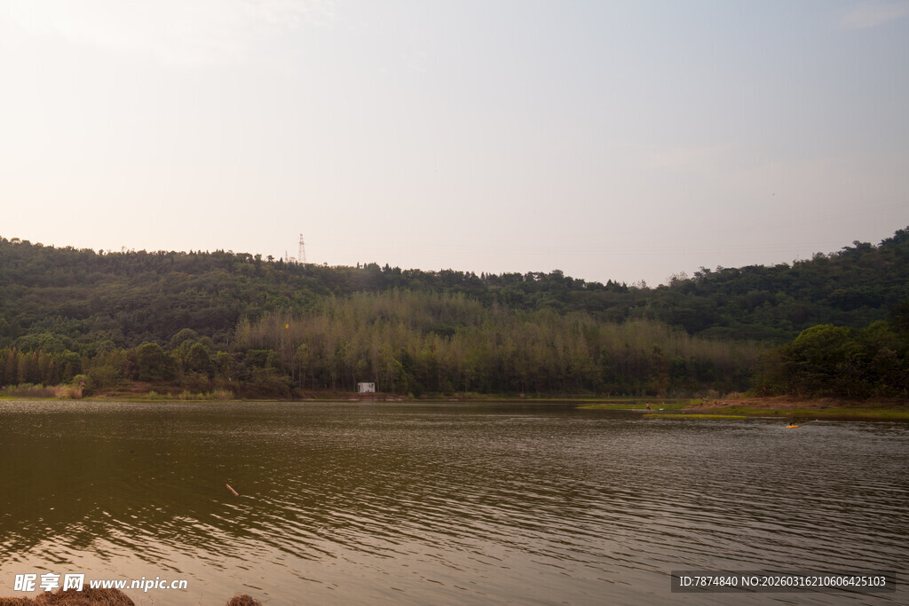 宁静湖畔的自然风光