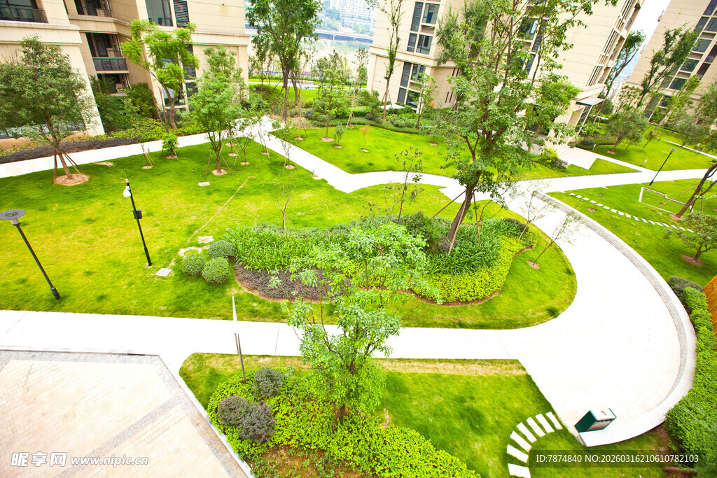 小区内的美丽绿化景观