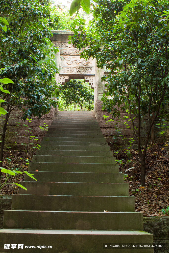 林间石阶通古意