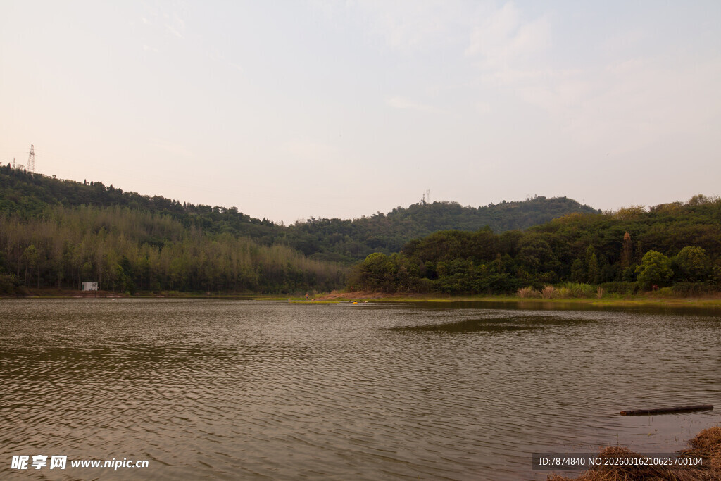 宁静河畔自然风光
