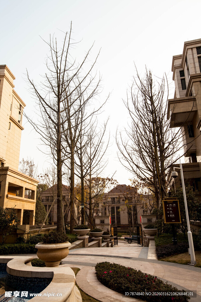 冬日小区景观
