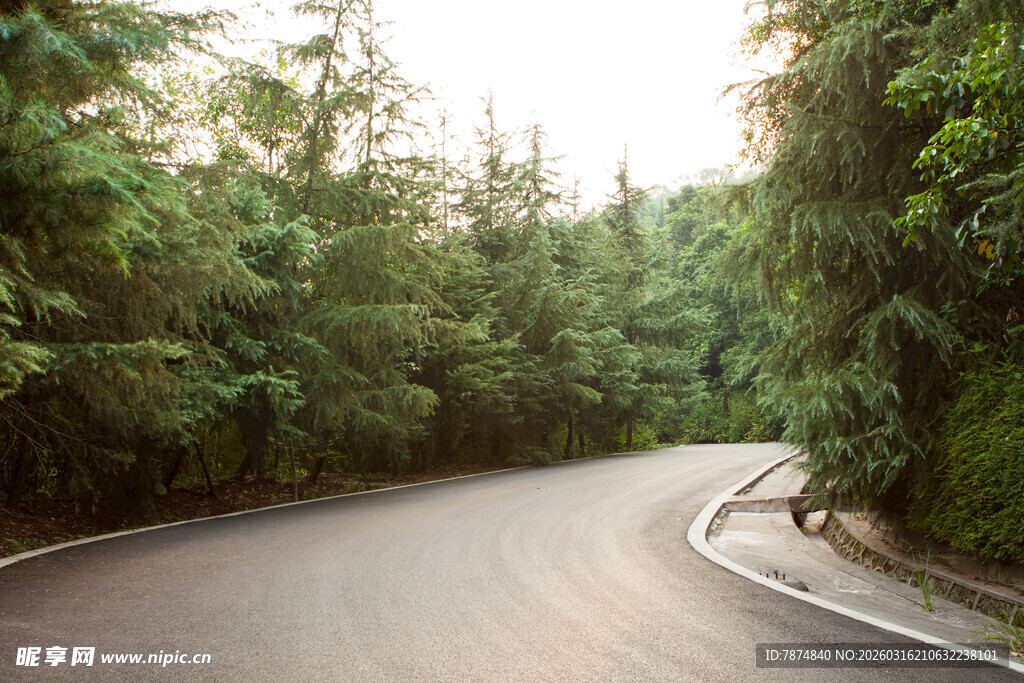 蜿蜒林间公路