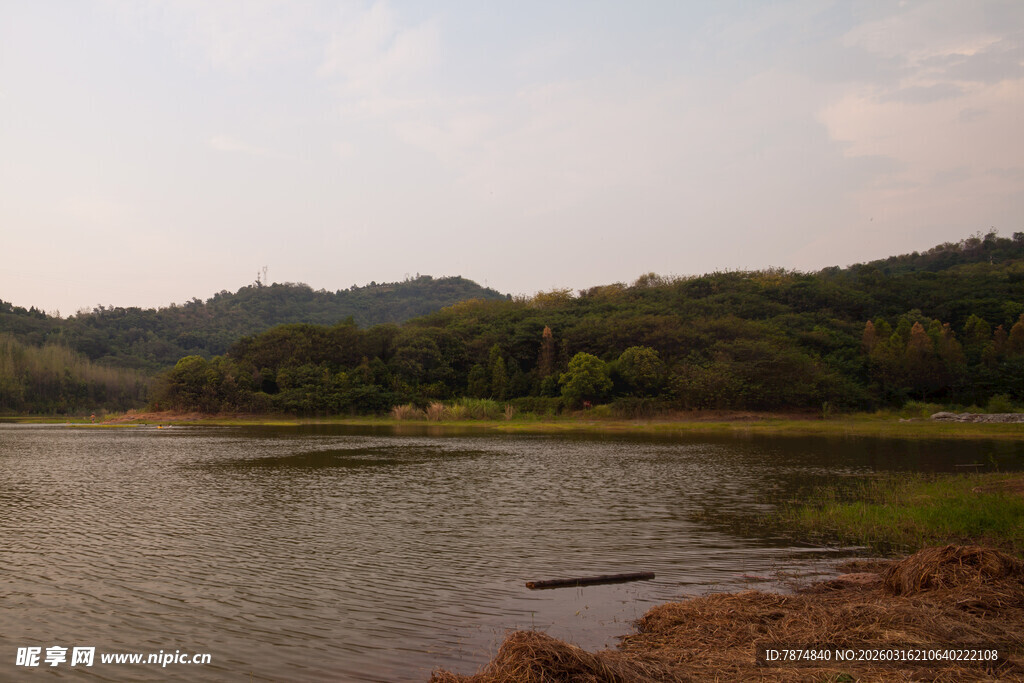 宁静湖畔自然风光