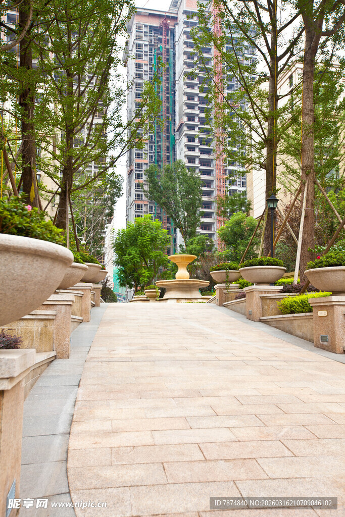 城市林荫步道与高层景观