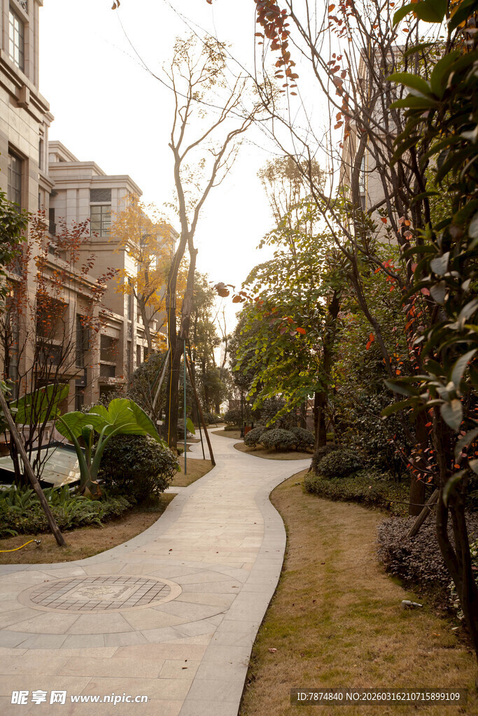 小区内静谧的林荫步道