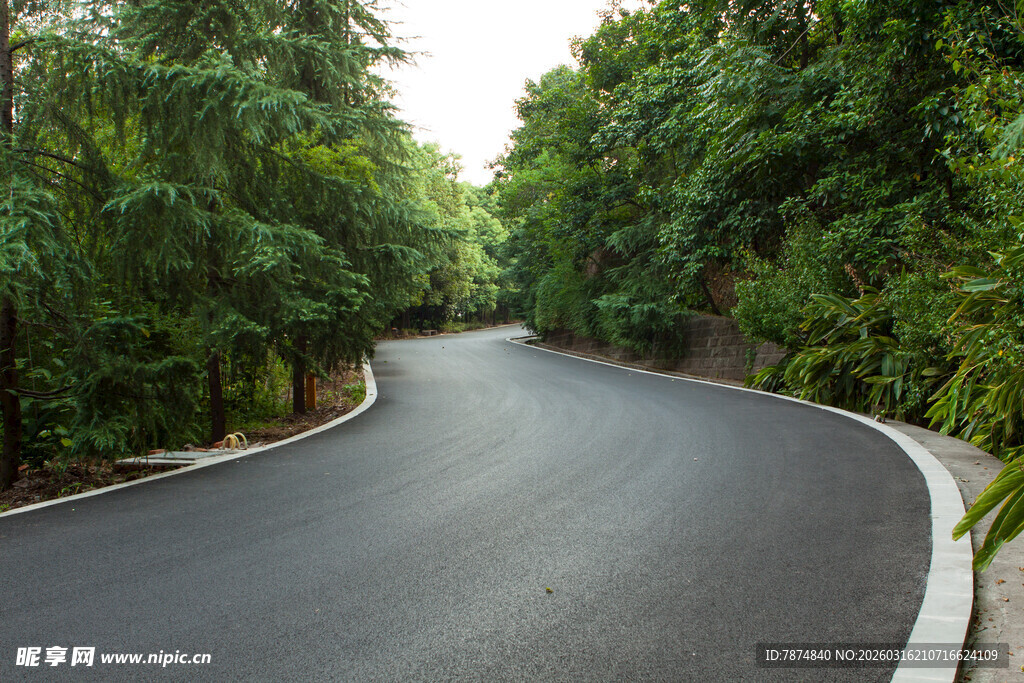 蜿蜒于林间的静谧公路