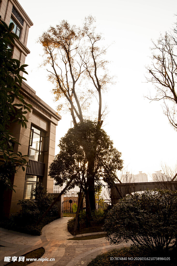 庭院景致 静谧的建筑周边