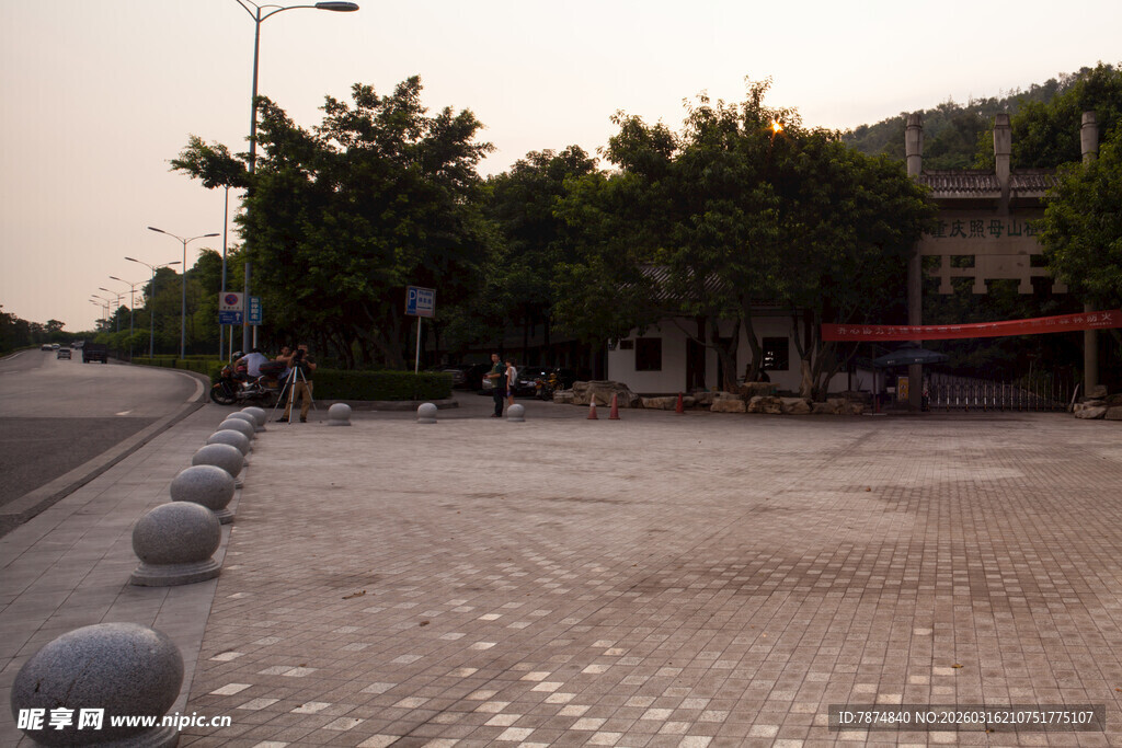 城市街道旁的宁静场景