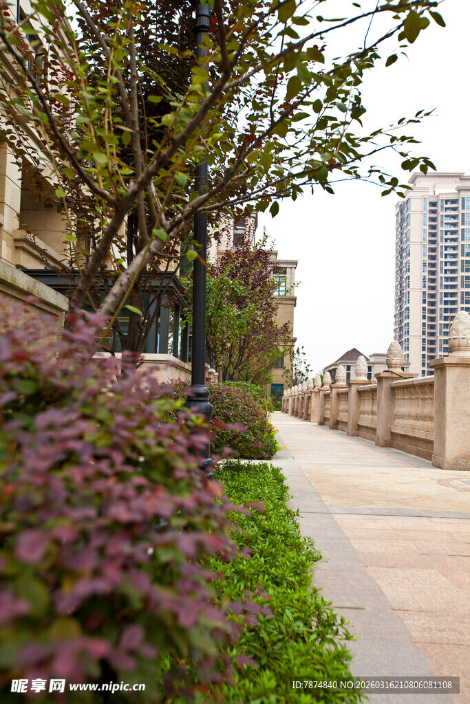 城市林荫步道景观