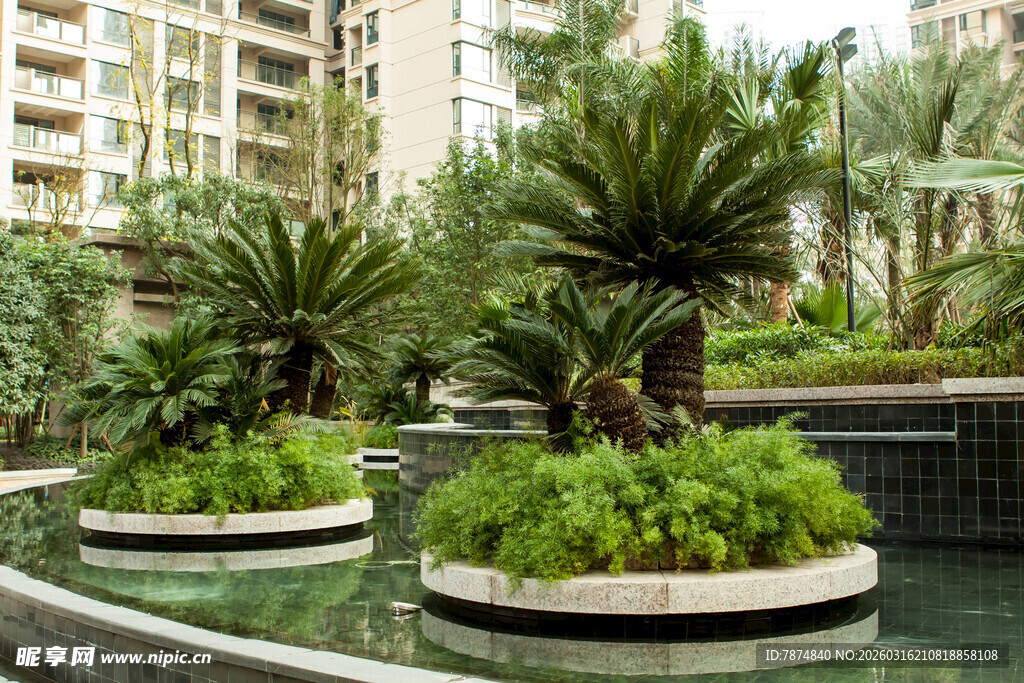 小区内精致水景绿植景观