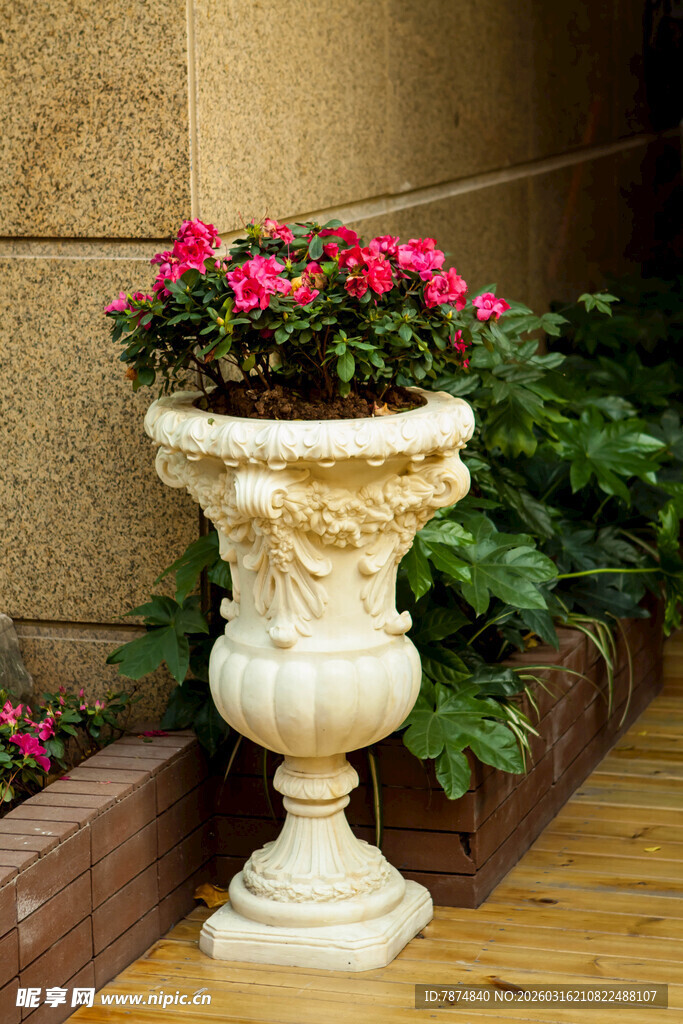 欧式雕花花盆 绽放艳丽花卉