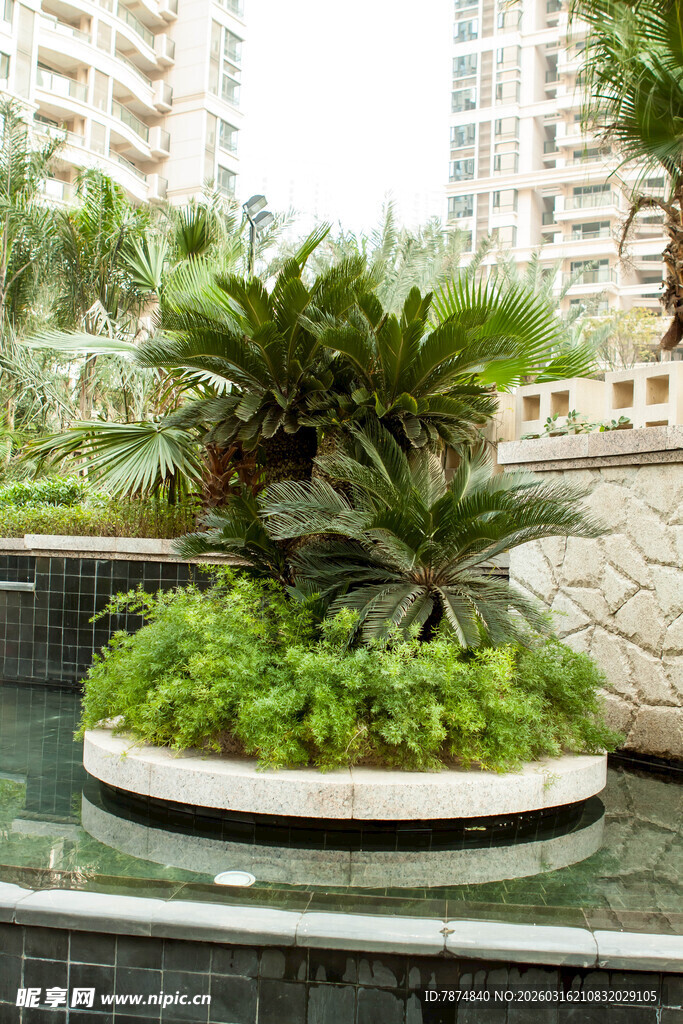 小区内的精致绿植景观